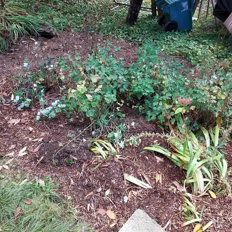 $195,000 | 518 Western Avenue, Berlin, NH 03570