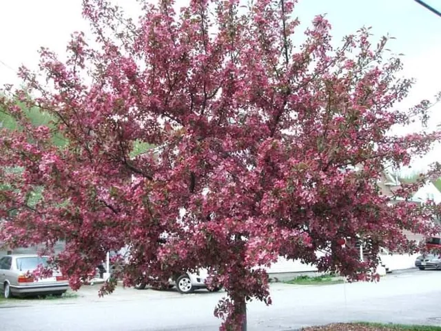 $169,900 | 518 Western Avenue, Berlin, NH 03570