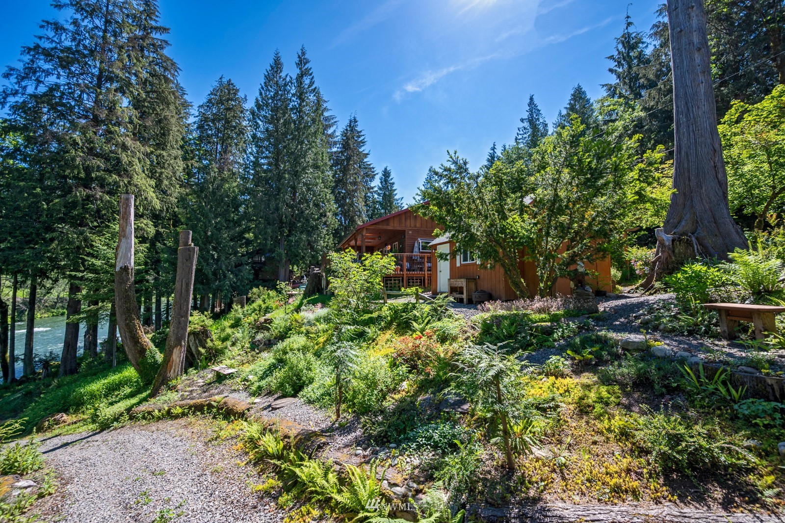 52133 South Riverside Road Gold Bar, WA 98251 - Photo 28 of 40 a view of a garden with plants and large trees