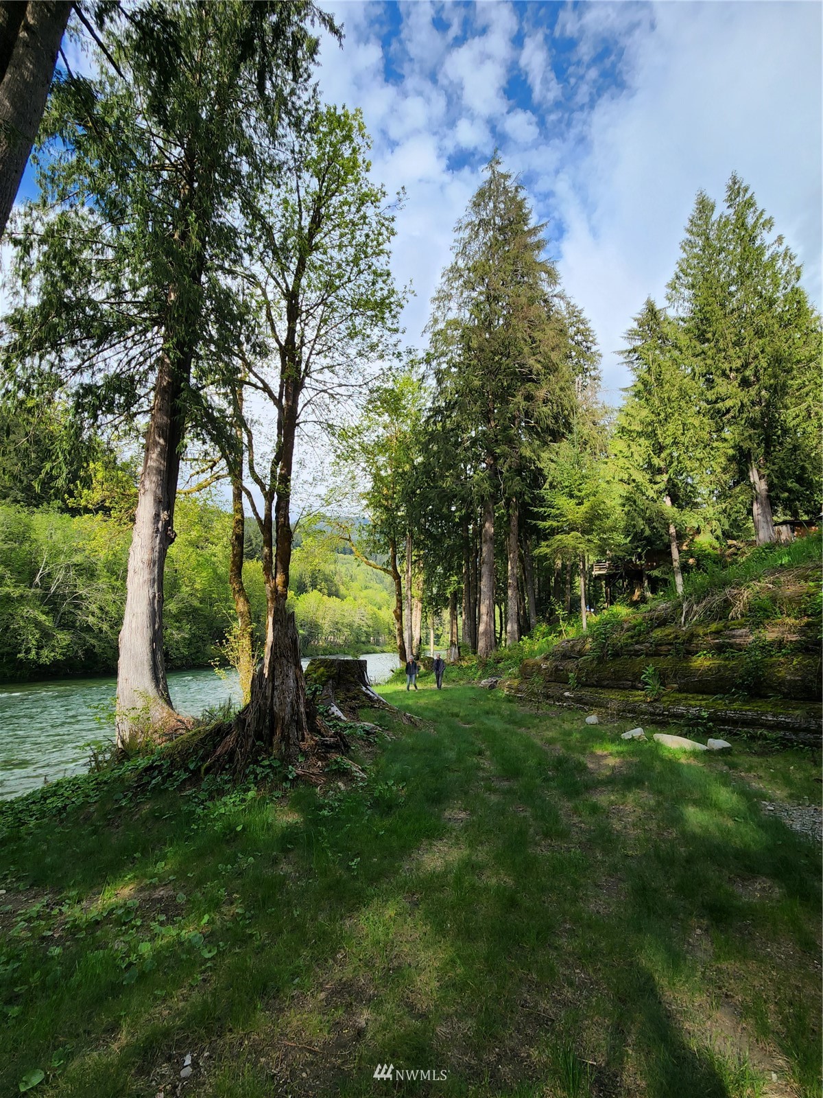 52133 South Riverside Road Gold Bar, WA 98251 - Photo 30 of 40 a view of a park with large trees