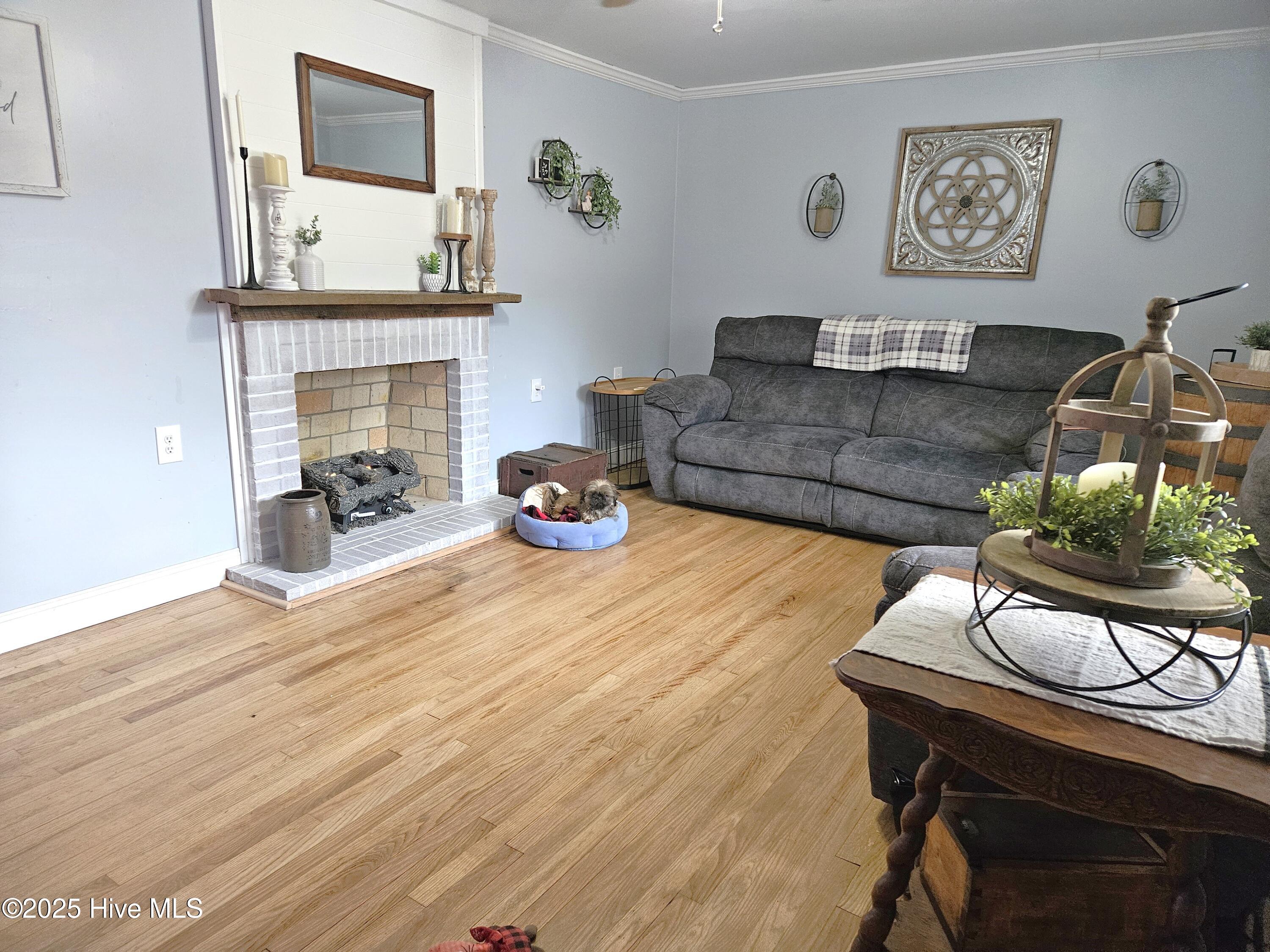 302 Newby Street Roper, NC 27970 - Photo 3 of 23 20250118_111559