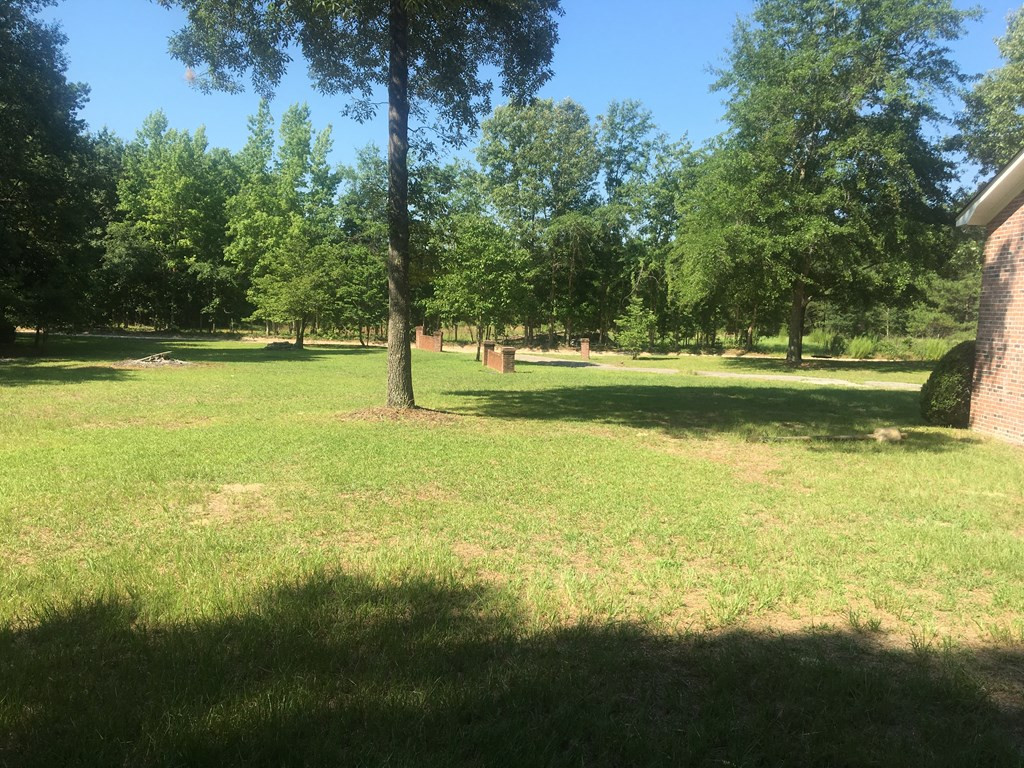 6039 Ninety 6 Road Neeses, SC 29107 - Photo 19 of 23 Front yard
