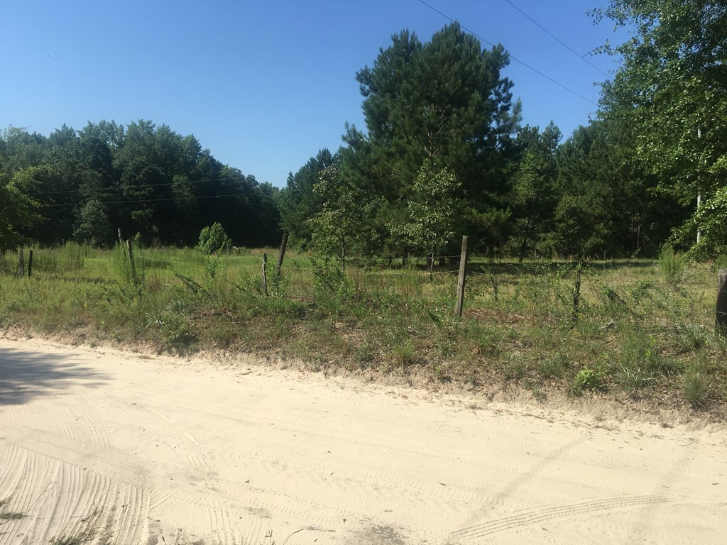 6039 Ninety 6 Road Neeses, SC 29107 - Photo 2 of 23 Additional Acreage