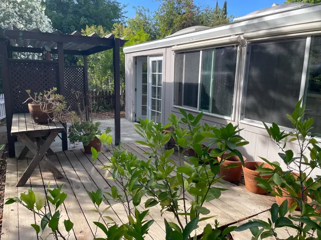 a potted plant sitting in front of a house