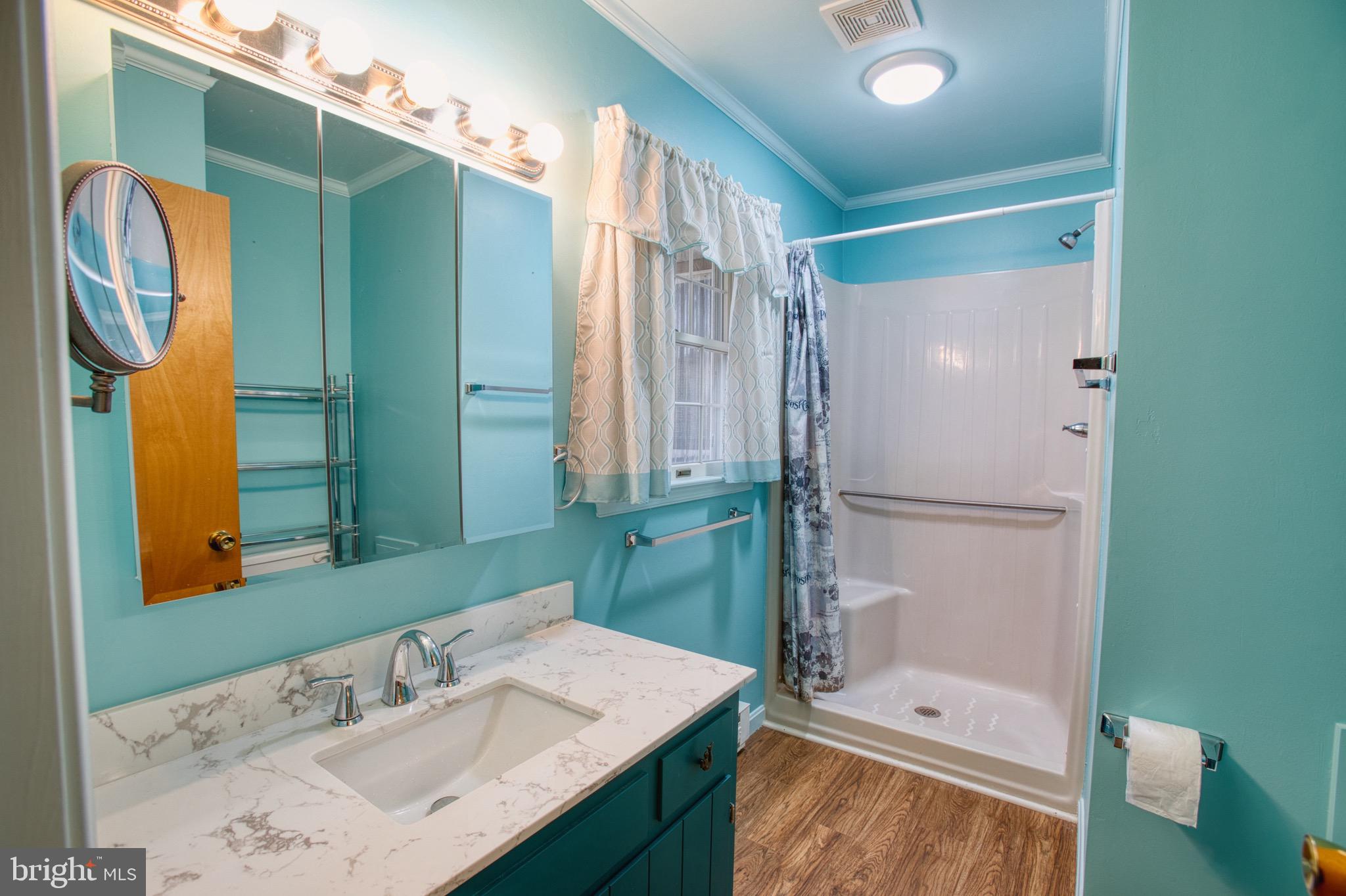 5046 Manokin Road Crisfield, MD 21817 - Photo 27 of 72 a bathroom with a sink and a mirror