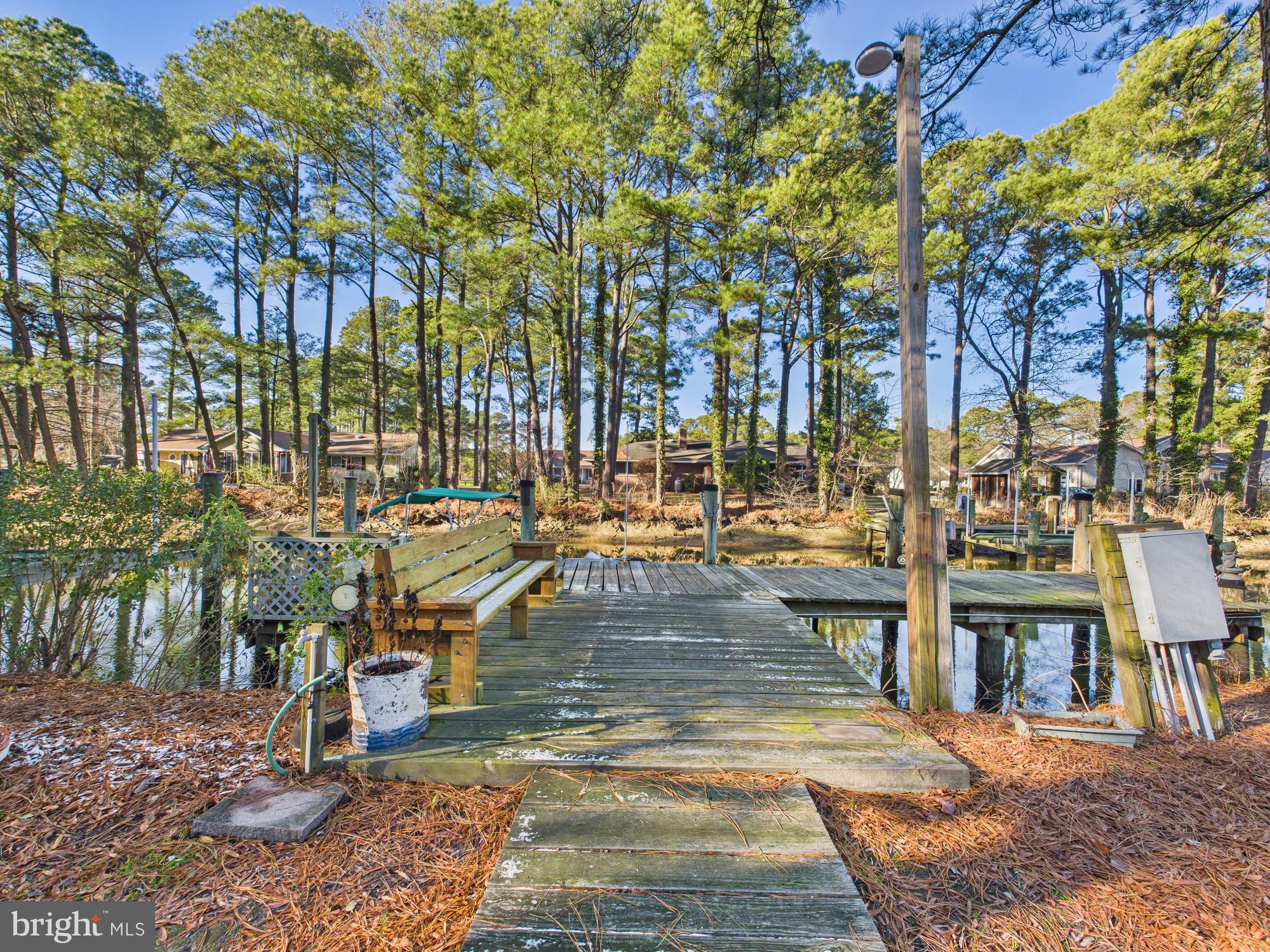 5046 Manokin Road Crisfield, MD 21817 - Photo 52 of 72 a view of yard along with trees