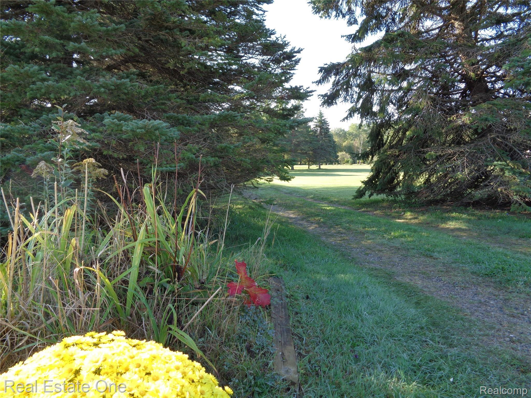 5960 Mills Road Deckerville, MI 48427 - Photo 2 of 79 Entrance to your beautiful 9 acre paradise...