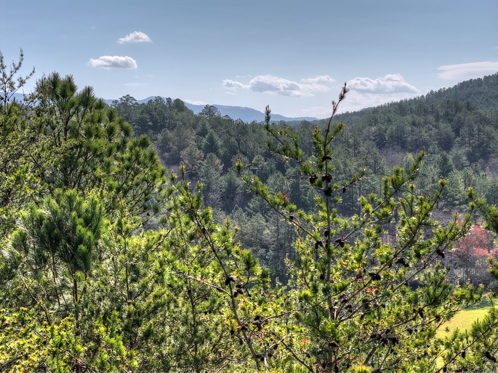 626 Brush Creek Road Copperhill, TN 37317 - Photo 47 of 60