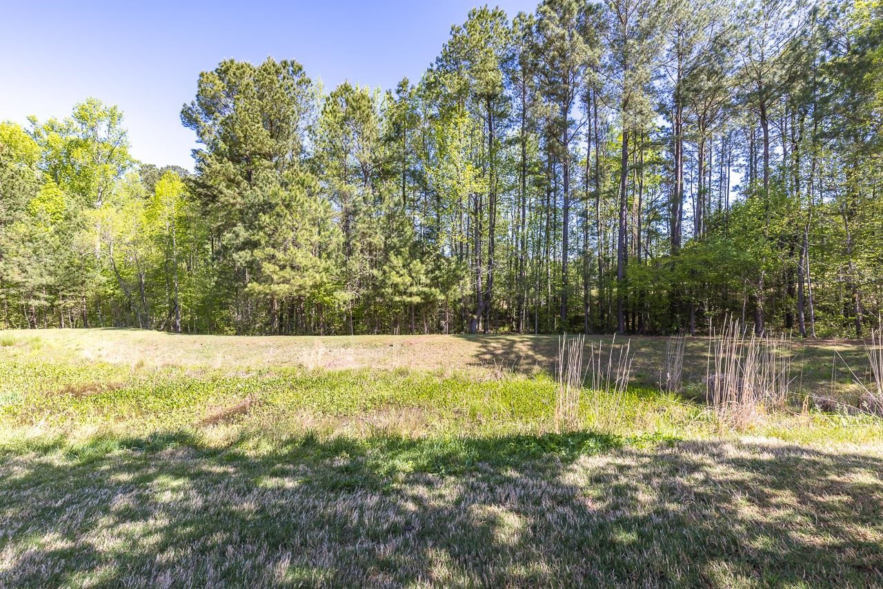 8828 Orchard Grove Way Raleigh, NC 27612 - Photo 28 of 30 Photo 28