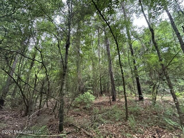 301 Freeman Road Southwest Summit, MS 39666 - Photo 22 of 43 IMG_4606