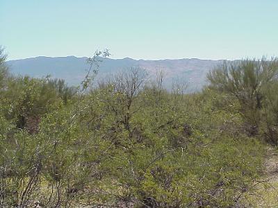 2 North Drake Place Tucson, AZ 85749 - Photo 3 of 6