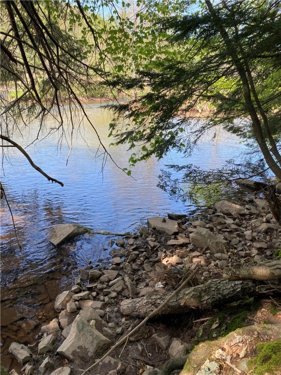 0 East River Road Walton, NY 13856 - Photo 1 of 3