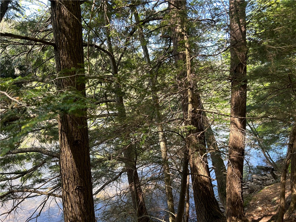 0 East River Road Walton, NY 13856 - Photo 2 of 3