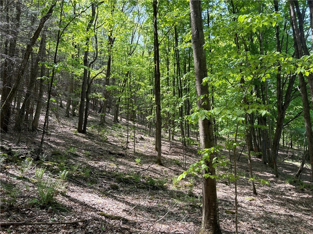 0 East River Road Walton, NY 13856 - Photo 3 of 3