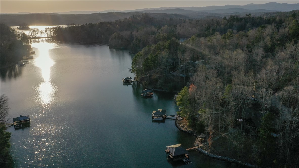 105 Cedar Cove Sunset, SC 29685 - Photo 35 of 49