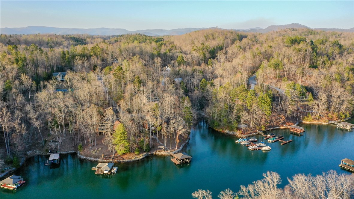 105 Cedar Cove Sunset, SC 29685 - Photo 44 of 49