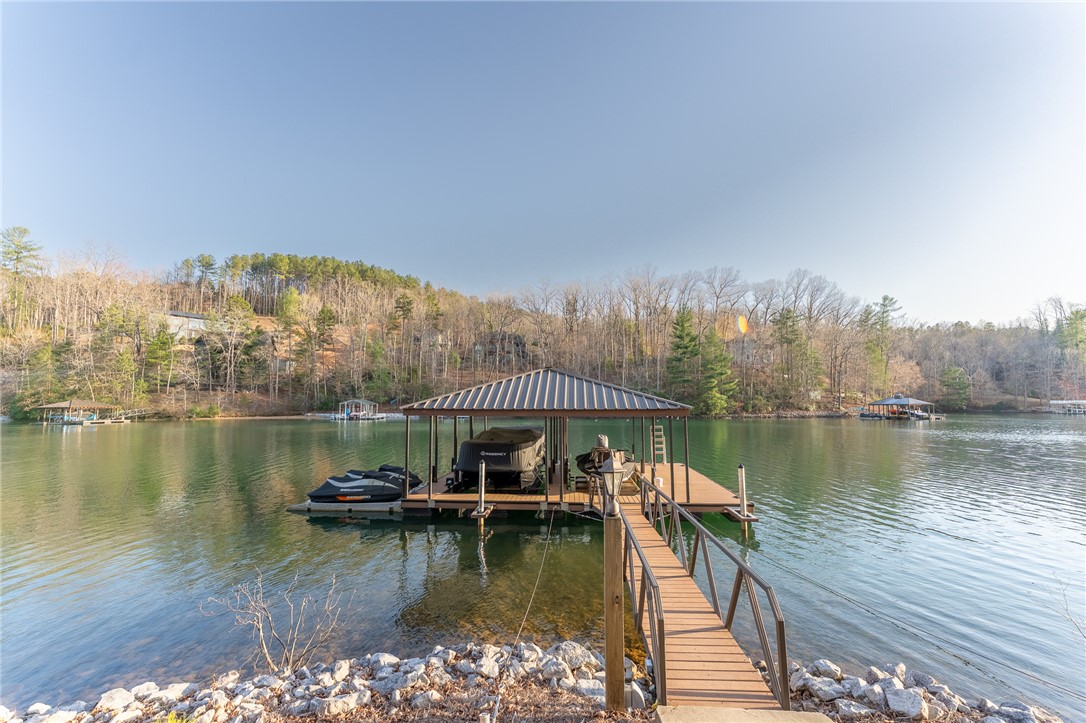 105 Cedar Cove Sunset, SC 29685 - Photo 47 of 49