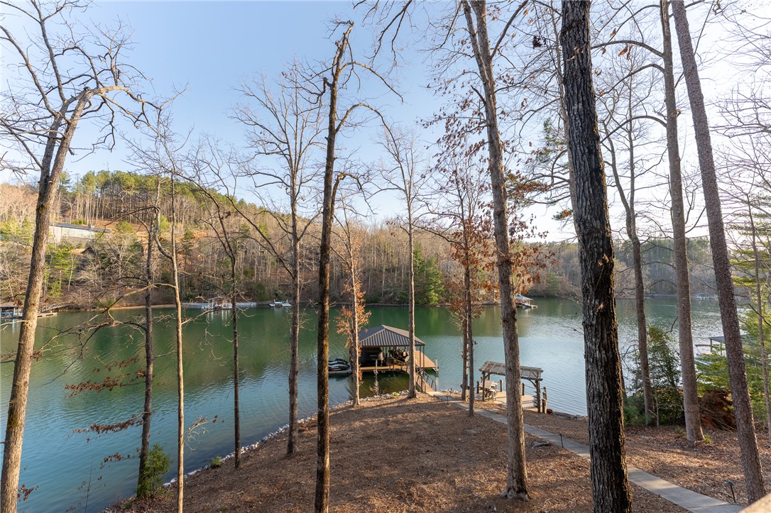 105 Cedar Cove Sunset, SC 29685 - Photo 49 of 49