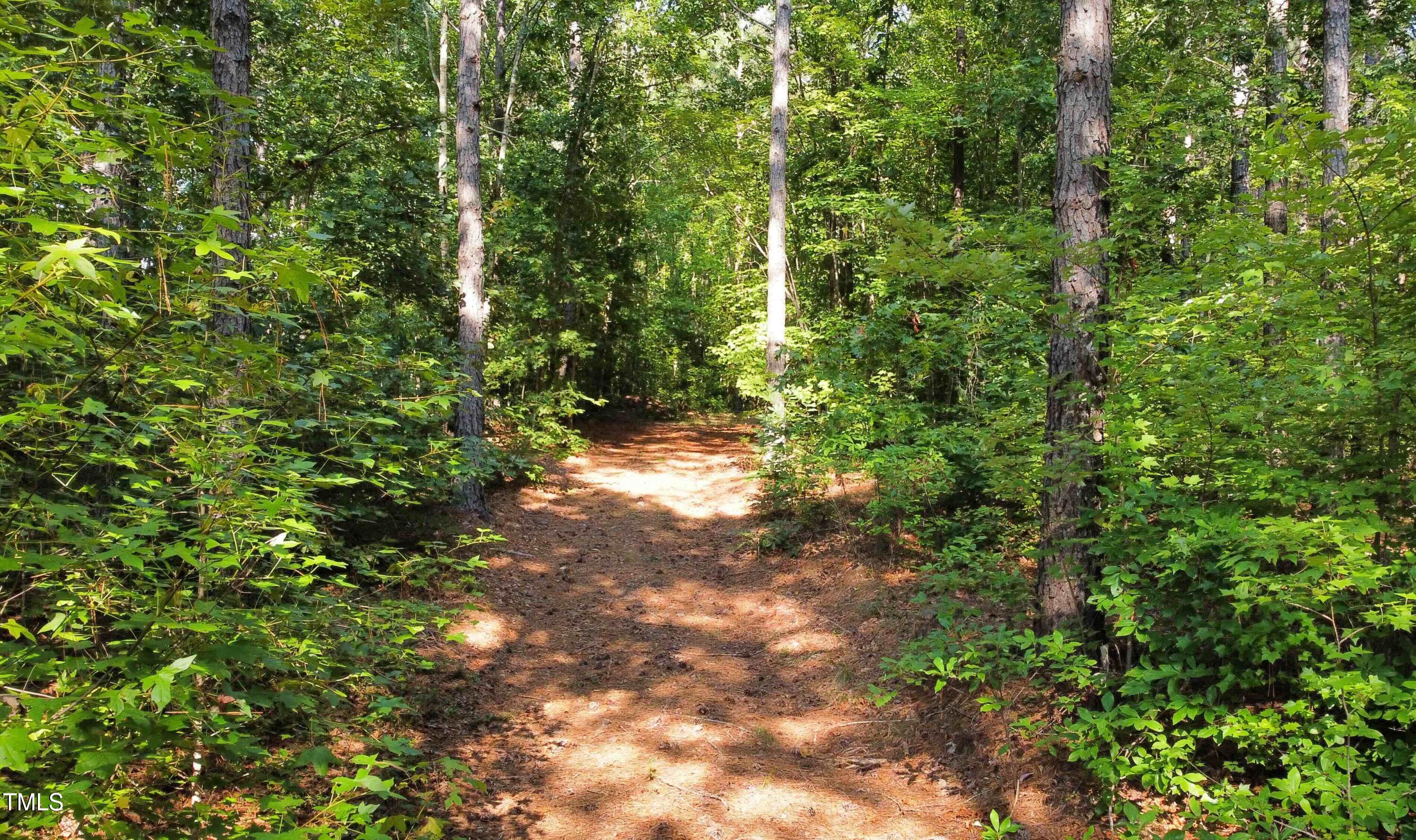 0 Richardson Road Warrenton, NC 27589 - Photo 11 of 21 a view of a forest with a tree