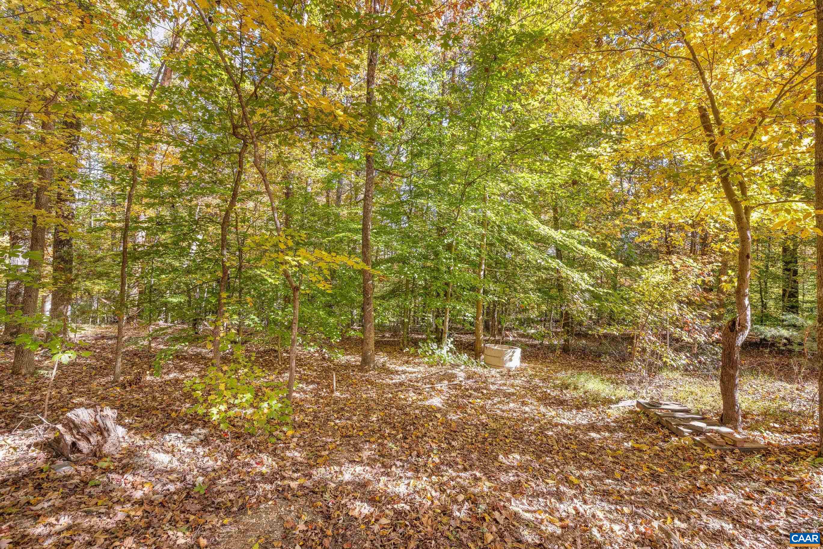 333 Creek Road Troy, VA 22974 - Photo 14 of 54 Gallery Image 14