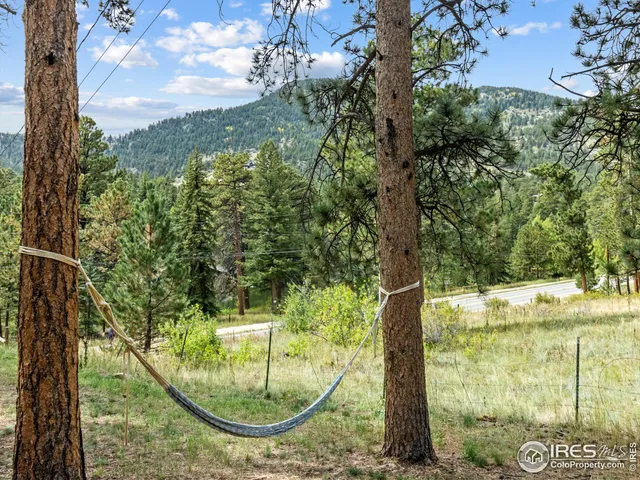 a view of a garden in a yard