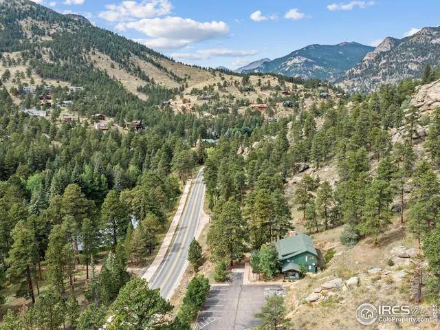 a view of a forest with a mountain