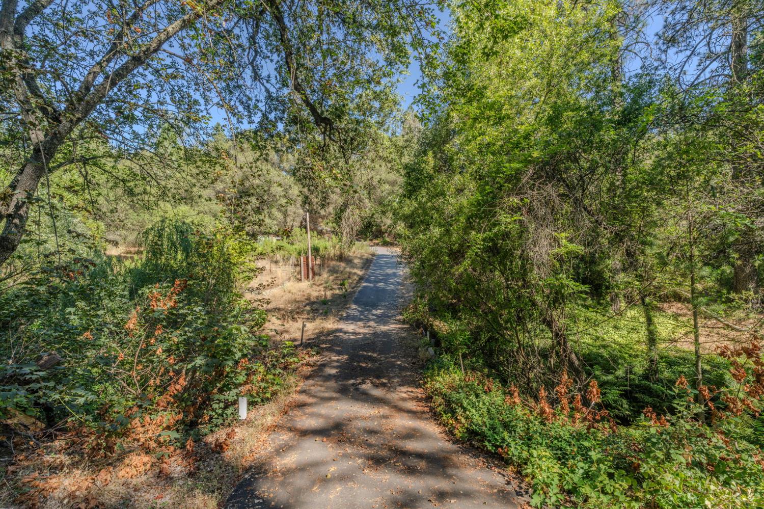 6240 Michel Road Mountain Ranch, CA 95246 - Photo 74 of 92
