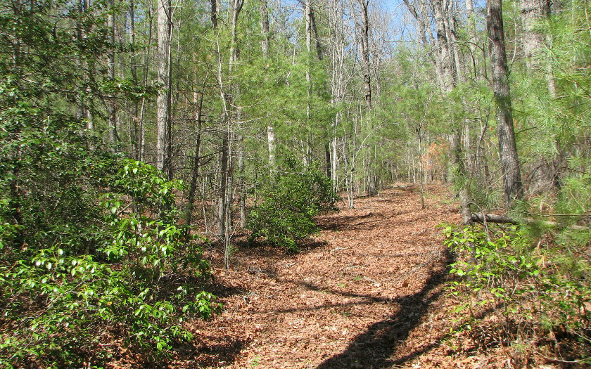 Ridge Road Blairsville, GA 30512 - Photo 1 of 1 Main View