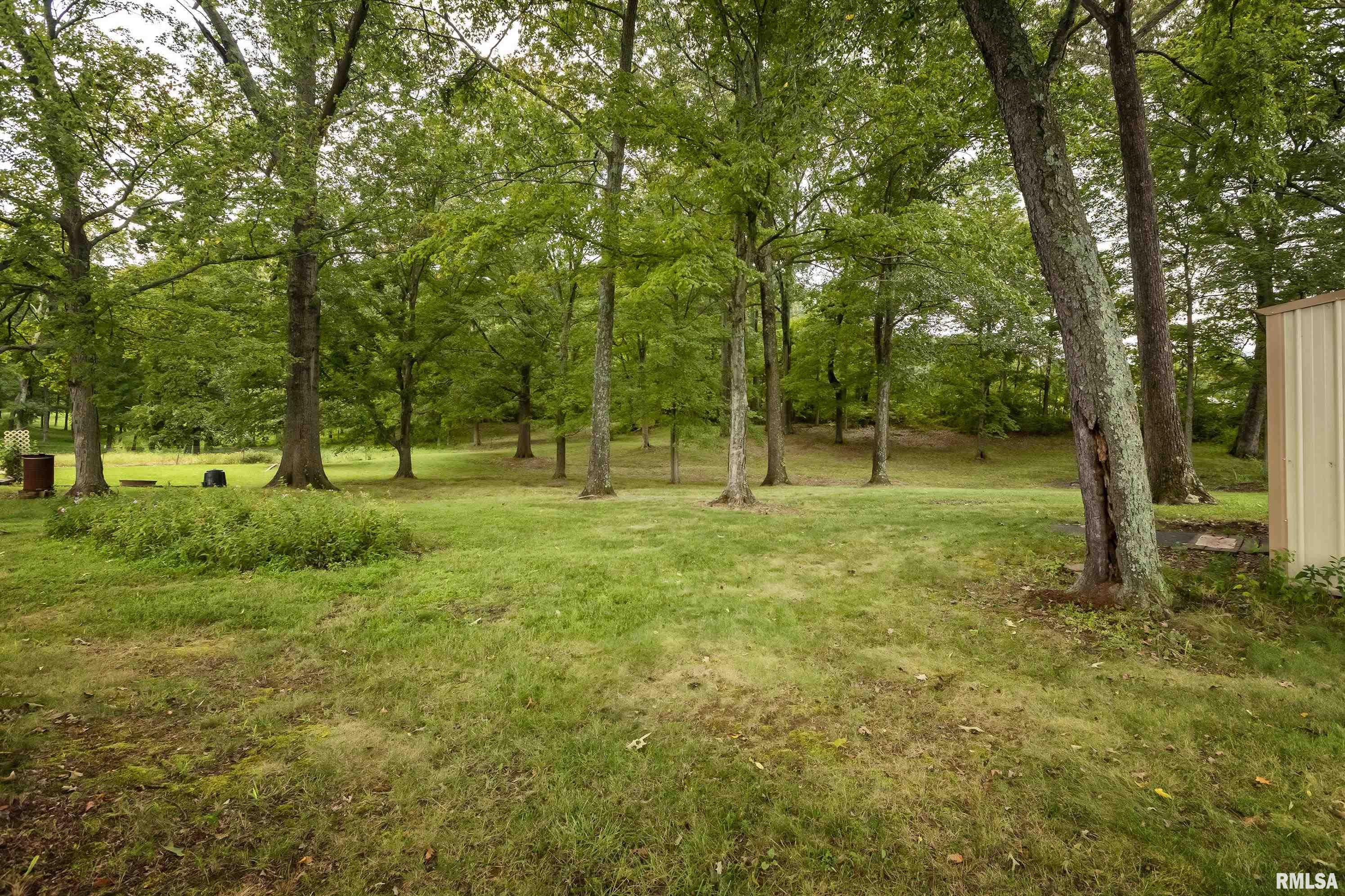 3085 Lick Creek Road Buncombe, IL 62912 - Photo 23 of 35
