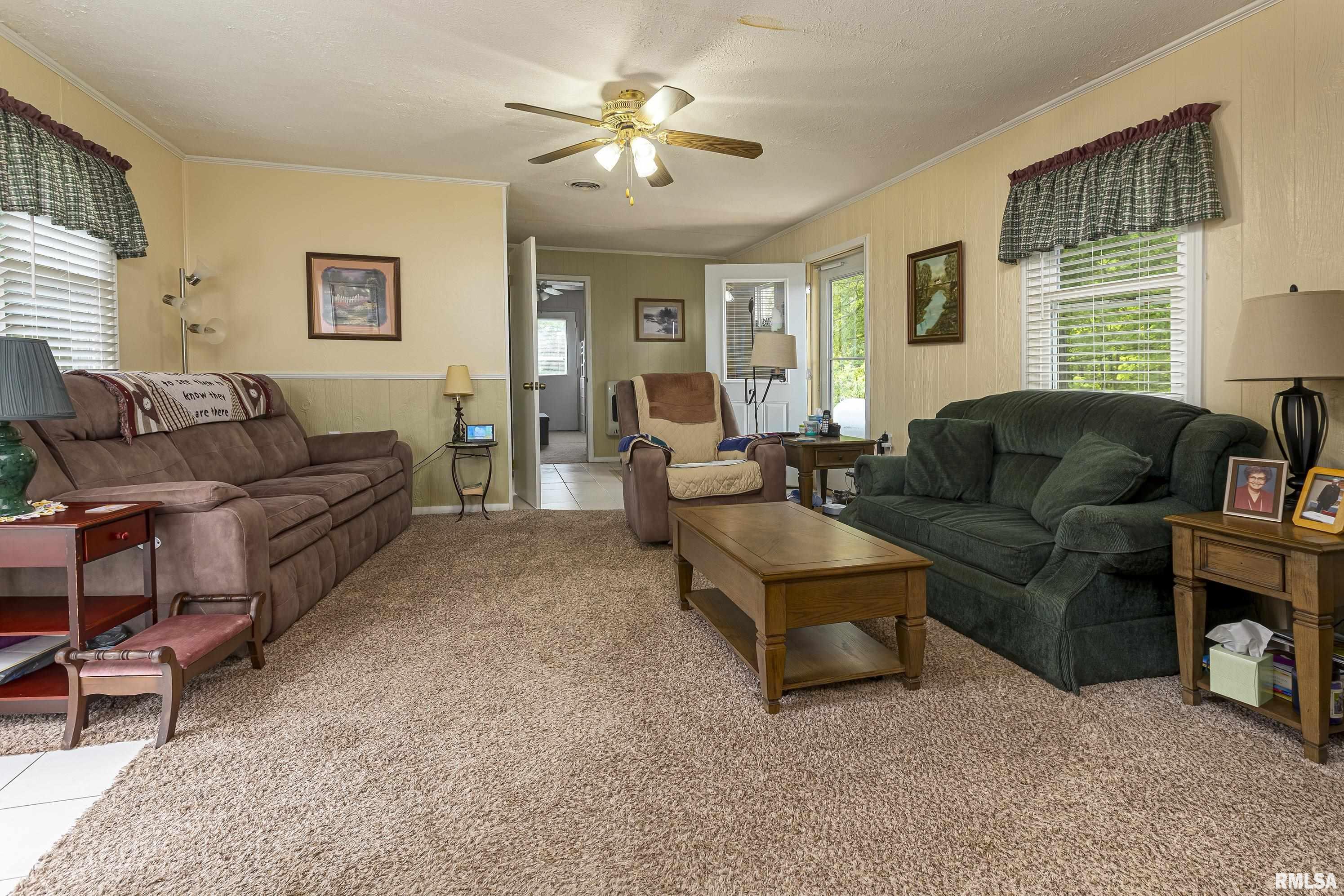 3085 Lick Creek Road Buncombe, IL 62912 - Photo 5 of 35