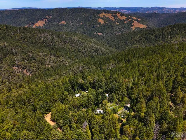 a view of a houses with a lush green forest