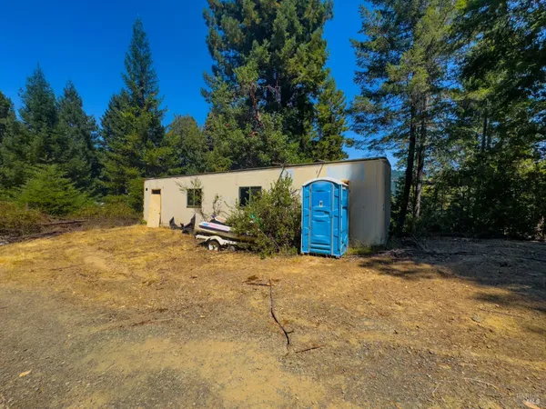a view of a backyard with tree s