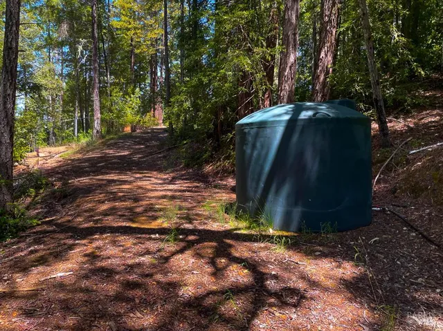 a view of outdoor space and yard
