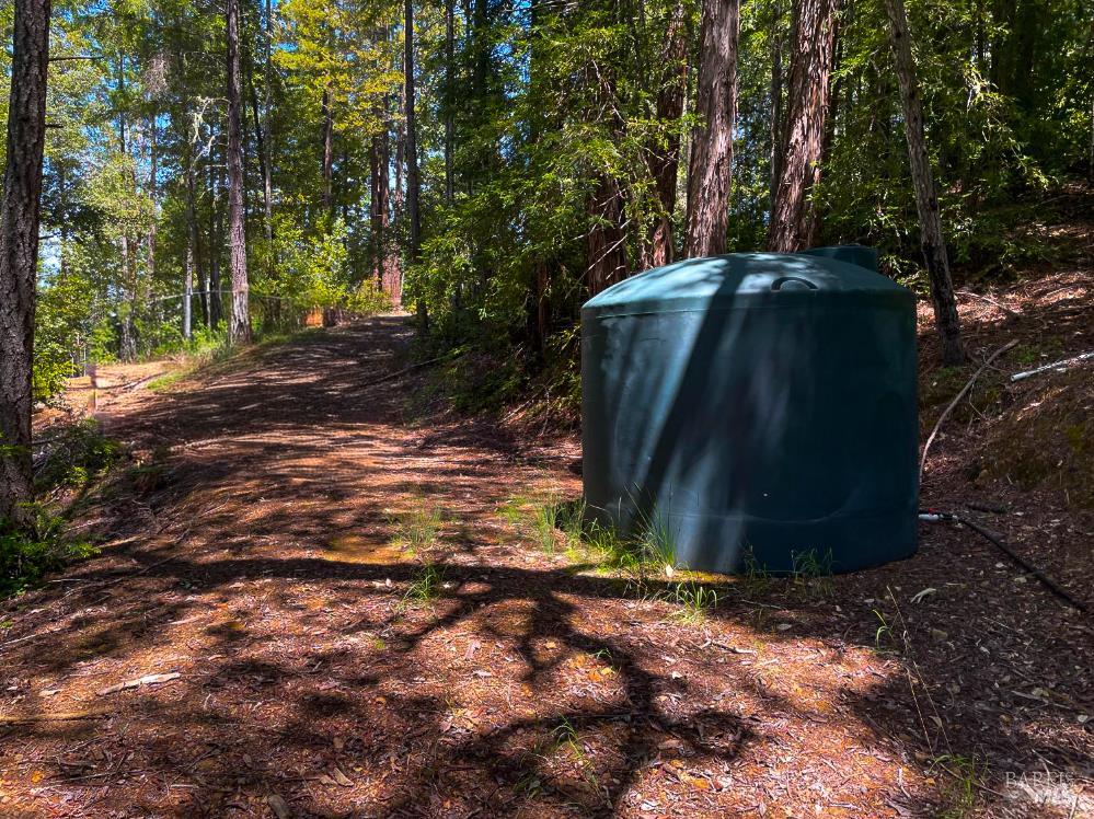25210 Mountain View Road Boonville, CA 95415 - Photo 16 of 31 a view of a tree