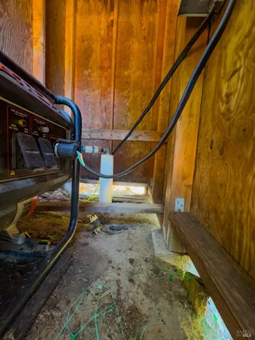 a close up of a plant in a garden