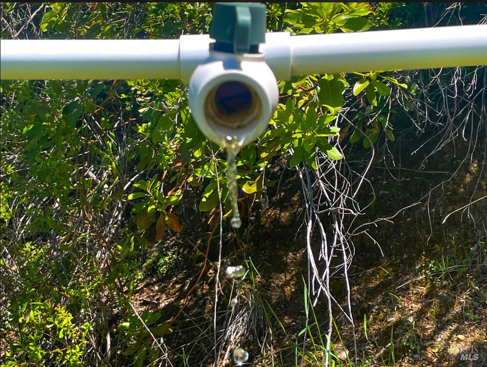 25210 Mountain View Road Boonville, CA 95415 - Photo 20 of 31 a close up of a plant in a garden