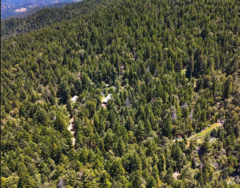 25210 Mountain View Road Boonville, CA 95415 - Photo 24 of 31 a view of a lush green forest