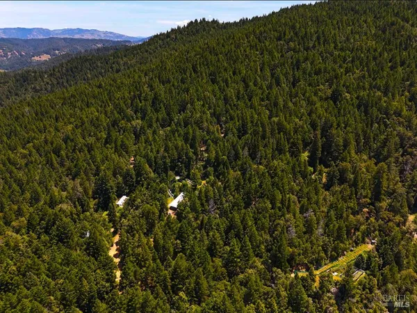 a view of a mountain in the distance