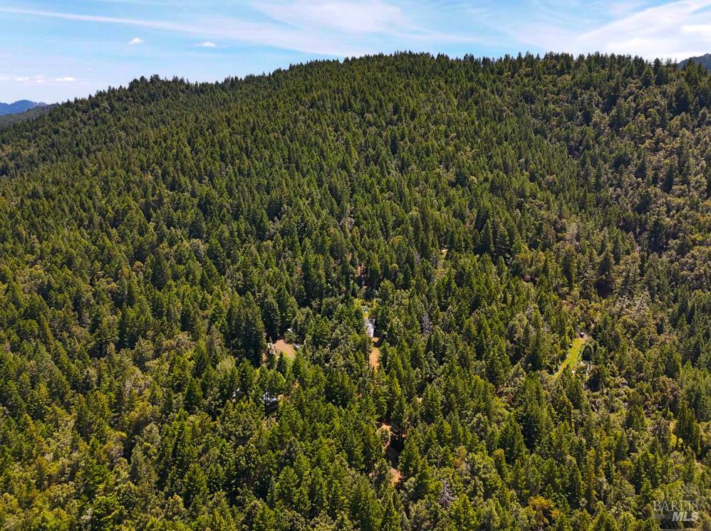 25210 Mountain View Road Boonville, CA 95415 - Photo 29 of 31 a view of a lush green forest with a mountain