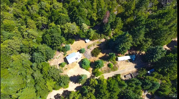 a close up of a flower in a garden