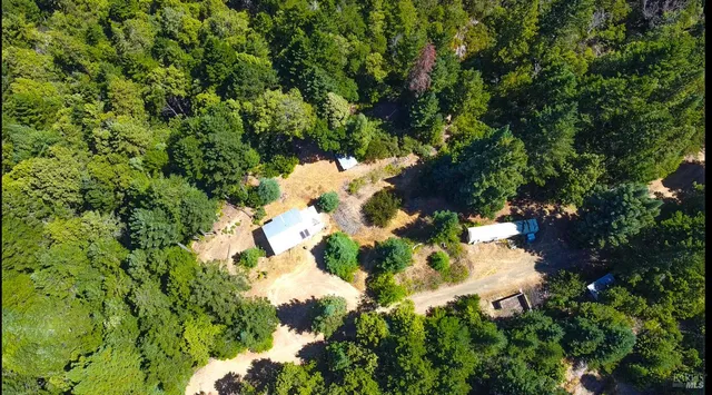 a close up of a flower in a garden