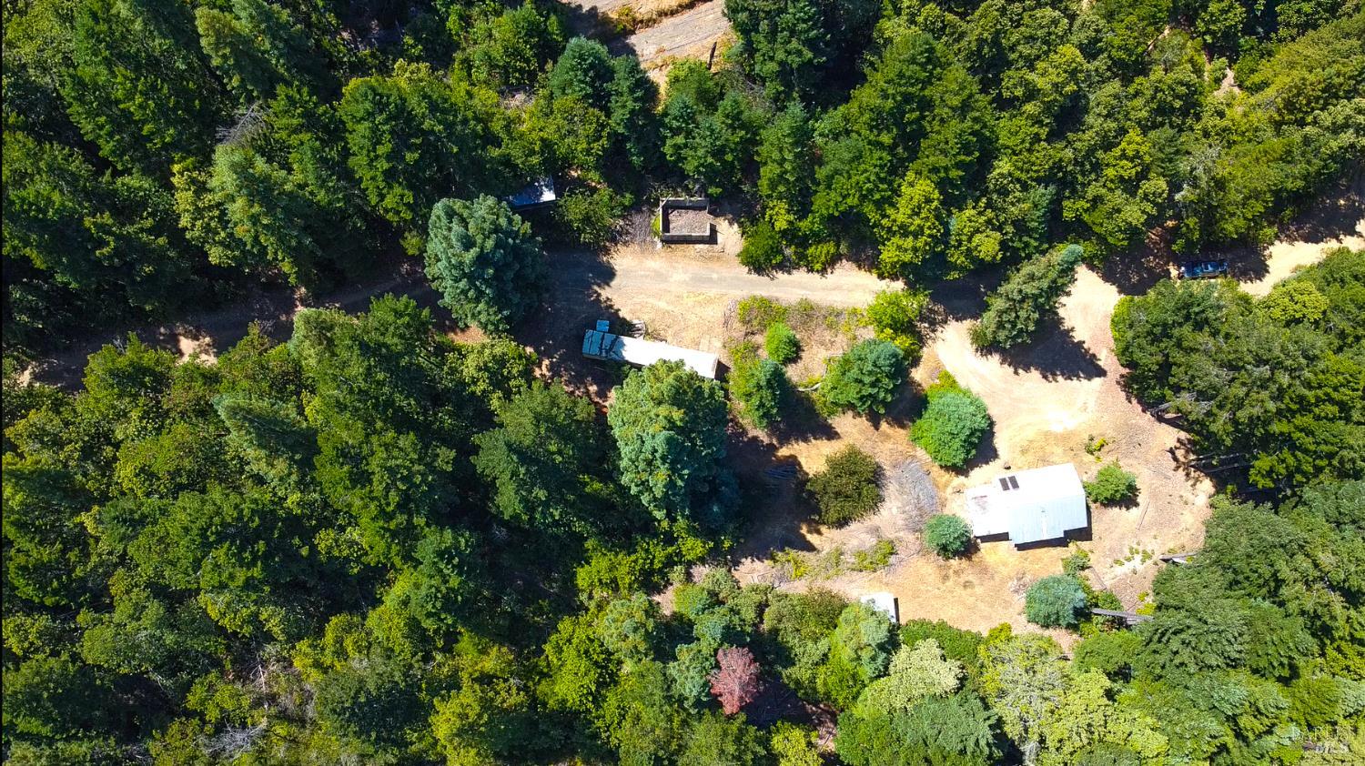 25210 Mountain View Road Boonville, CA 95415 - Photo 6 of 31 a view of flowers in a garden