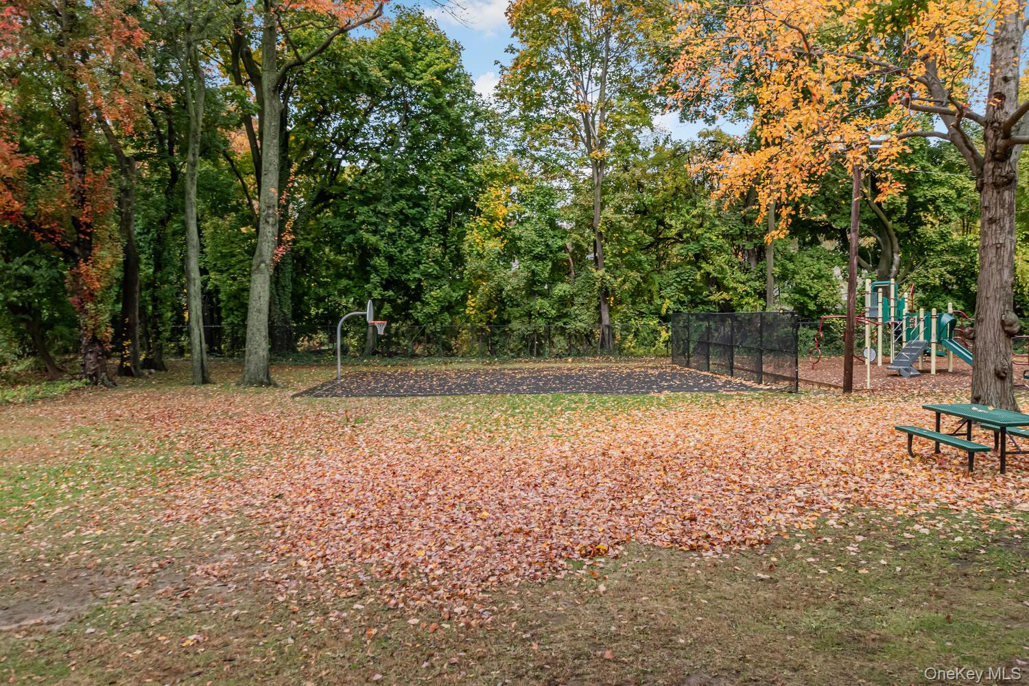 59 Oregon Avenue Bronxville, NY 10708 - Photo 18 of 26 Basketball Court