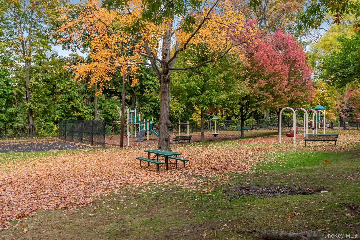 59 Oregon Avenue Bronxville, NY 10708 - Photo 19 of 26 Playground