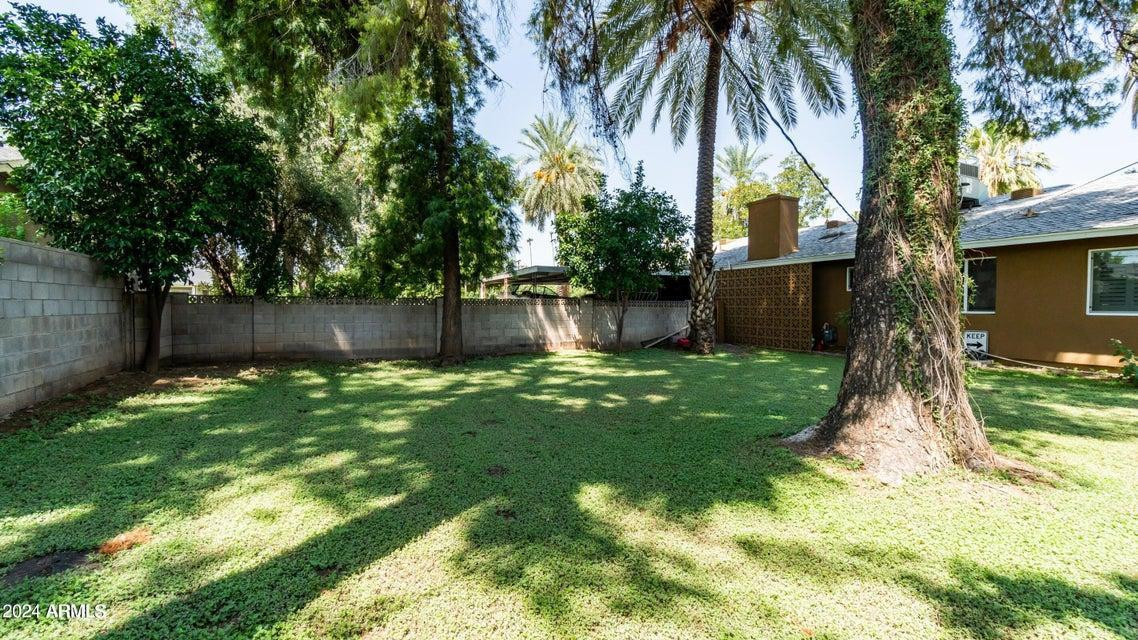 1011 West Northern Avenue Phoenix, AZ 85021 - Photo 22 of 25 a backyard of a house with plants and large tree