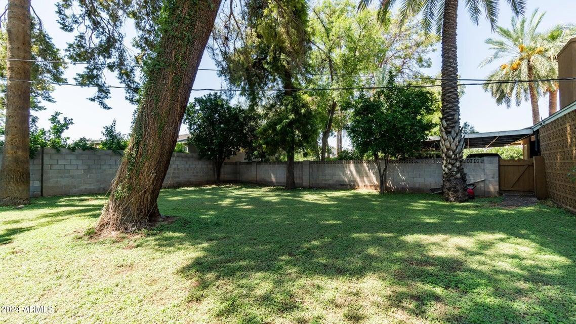 1011 West Northern Avenue Phoenix, AZ 85021 - Photo 24 of 25 a view of a backyard with a tree
