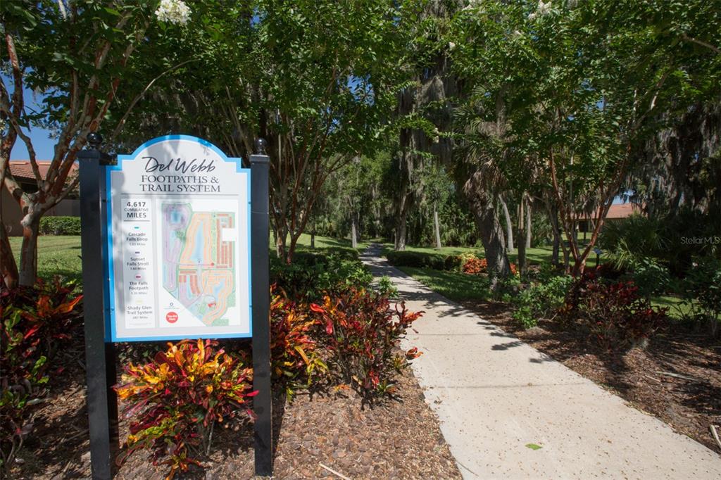 147 Silver Falls Drive Apollo Beach, FL 33572 - Photo 61 of 72