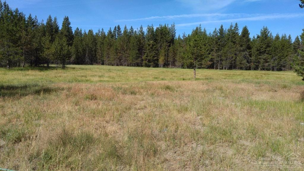 15782 Jackpine Road La Pine, OR 97739 - Photo 1 of 5 Meadow without snow
