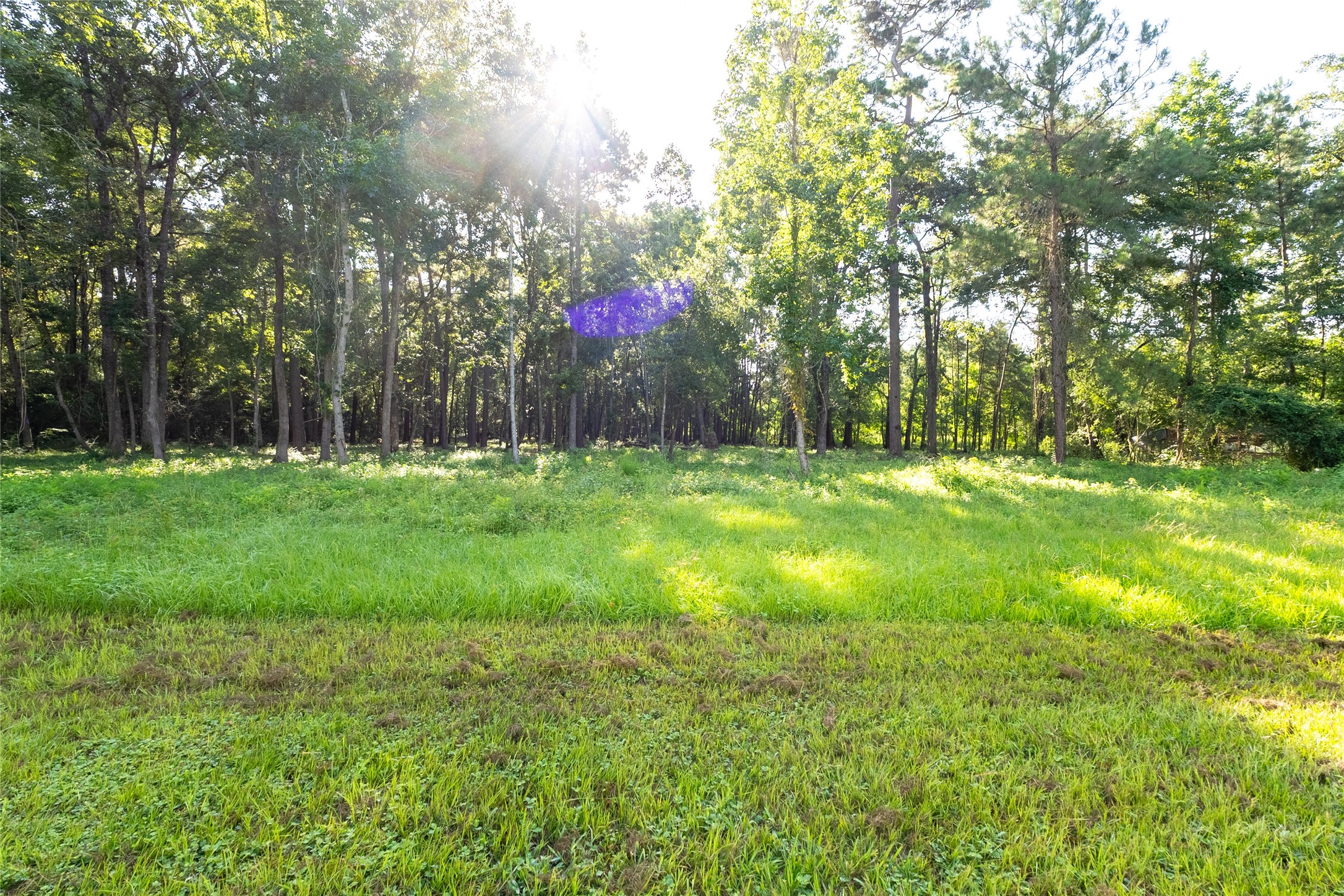 7728 White Rock Road Cleveland, TX 77328 - Photo 29 of 38