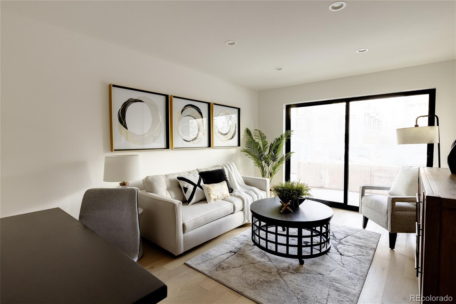1749 North Williams Street, Unit 2 Denver, CO 80218 - Photo 26 of 34 a living room with furniture potted plant and a large window